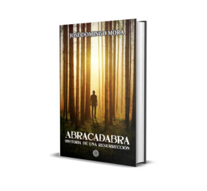 Novela Abracadabra